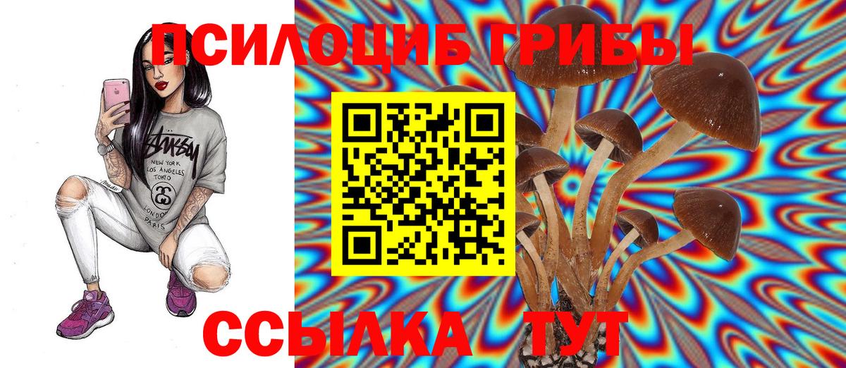 Галлюциногенные грибы GOLDEN TEACHER Донской